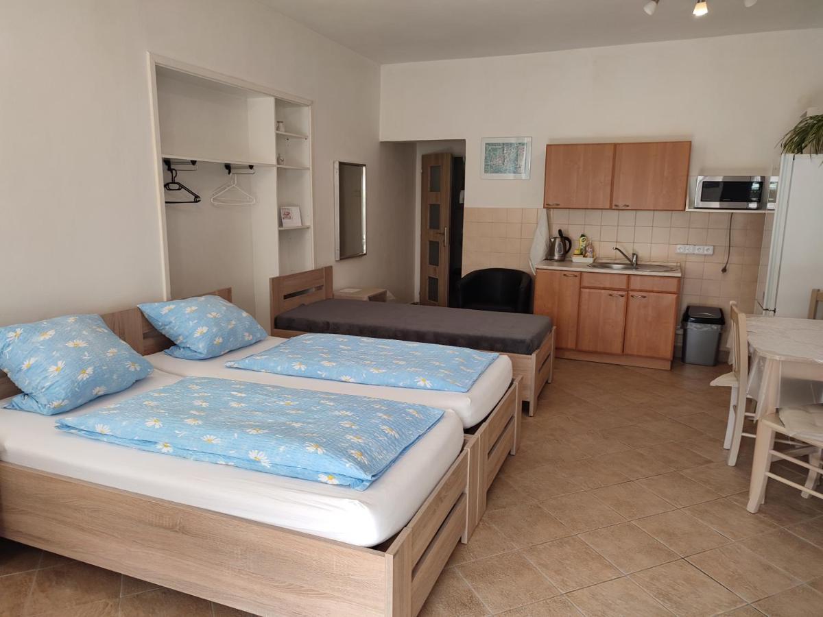 Pension Dana Karaskova Apartman Kutná Hora Kültér fotó