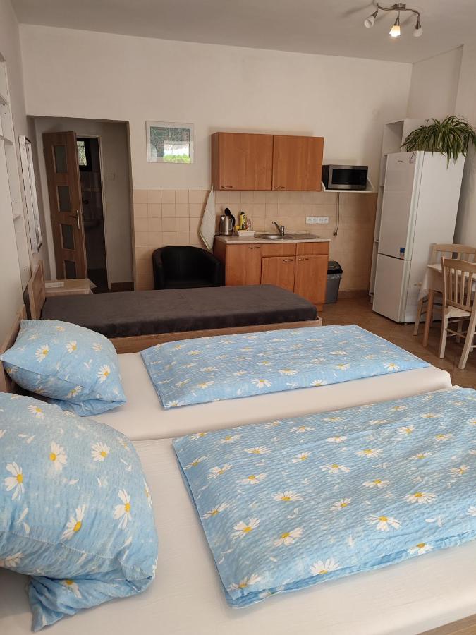 Pension Dana Karaskova Apartman Kutná Hora Kültér fotó