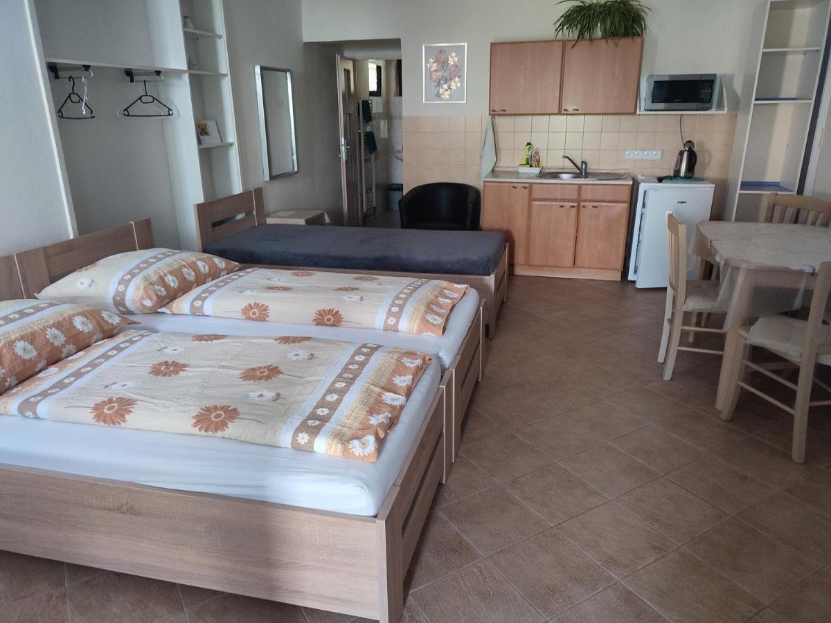 Pension Dana Karaskova Apartman Kutná Hora Kültér fotó