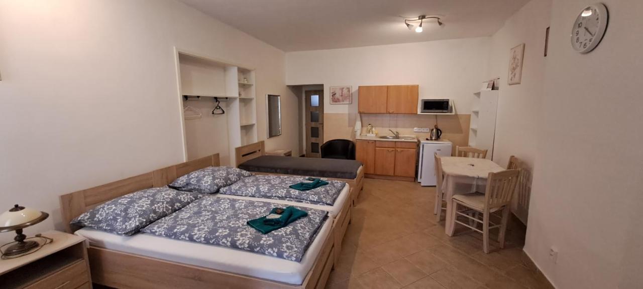Pension Dana Karaskova Apartman Kutná Hora Kültér fotó