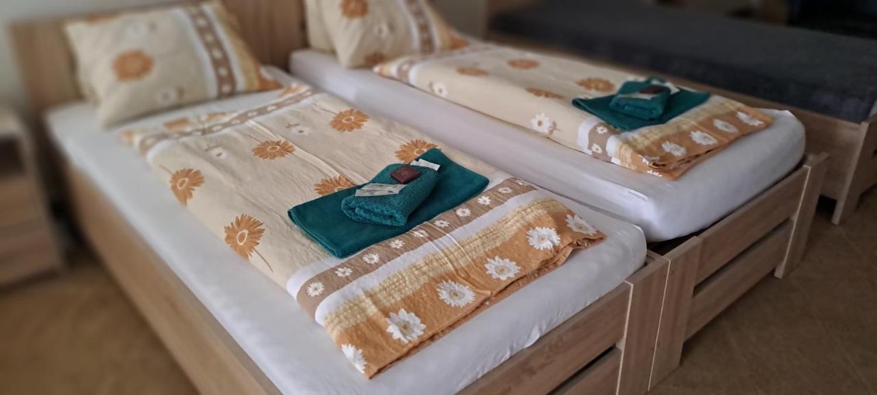 Pension Dana Karaskova Apartman Kutná Hora Kültér fotó