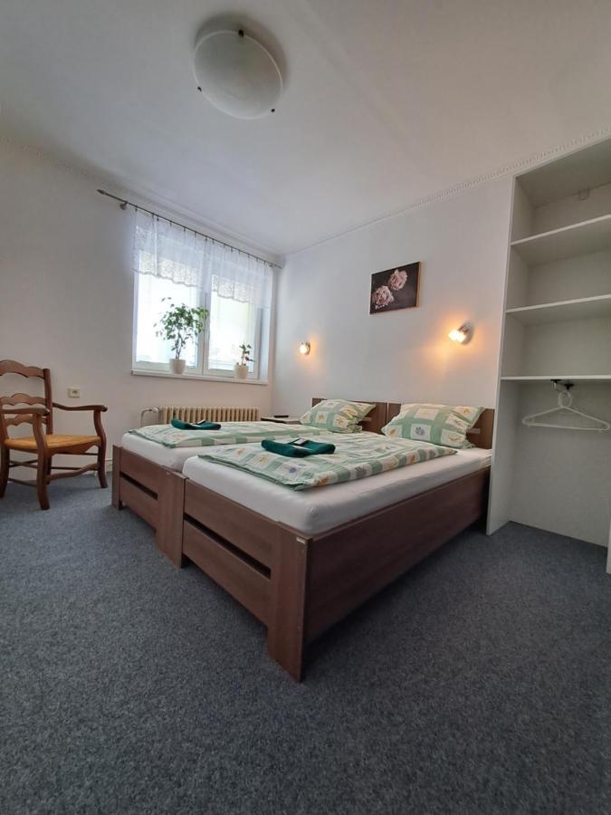 Pension Dana Karaskova Apartman Kutná Hora Kültér fotó