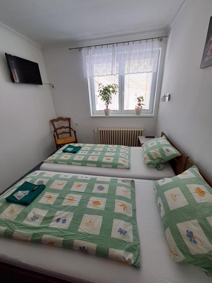 Pension Dana Karaskova Apartman Kutná Hora Kültér fotó