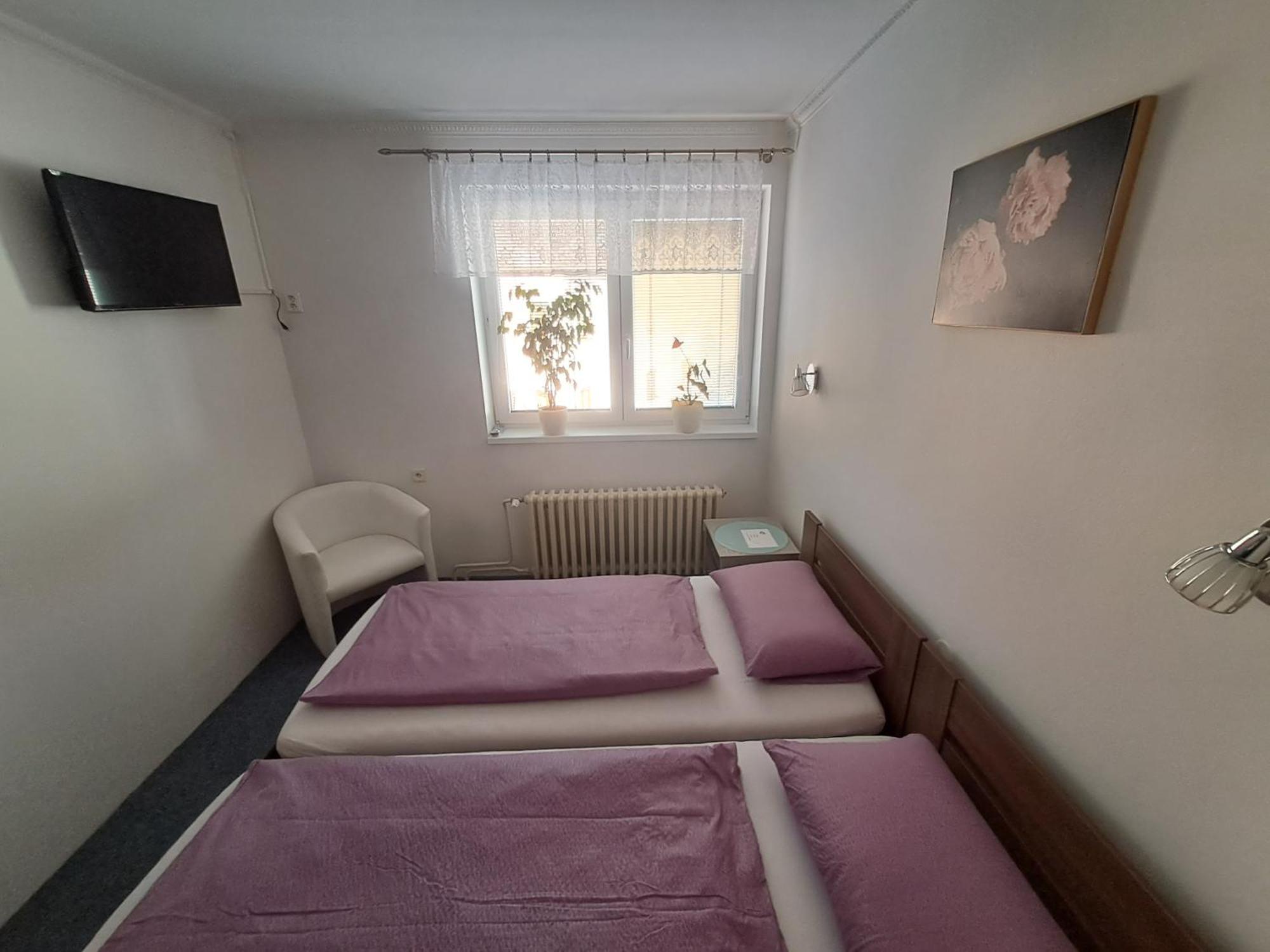 Pension Dana Karaskova Apartman Kutná Hora Kültér fotó